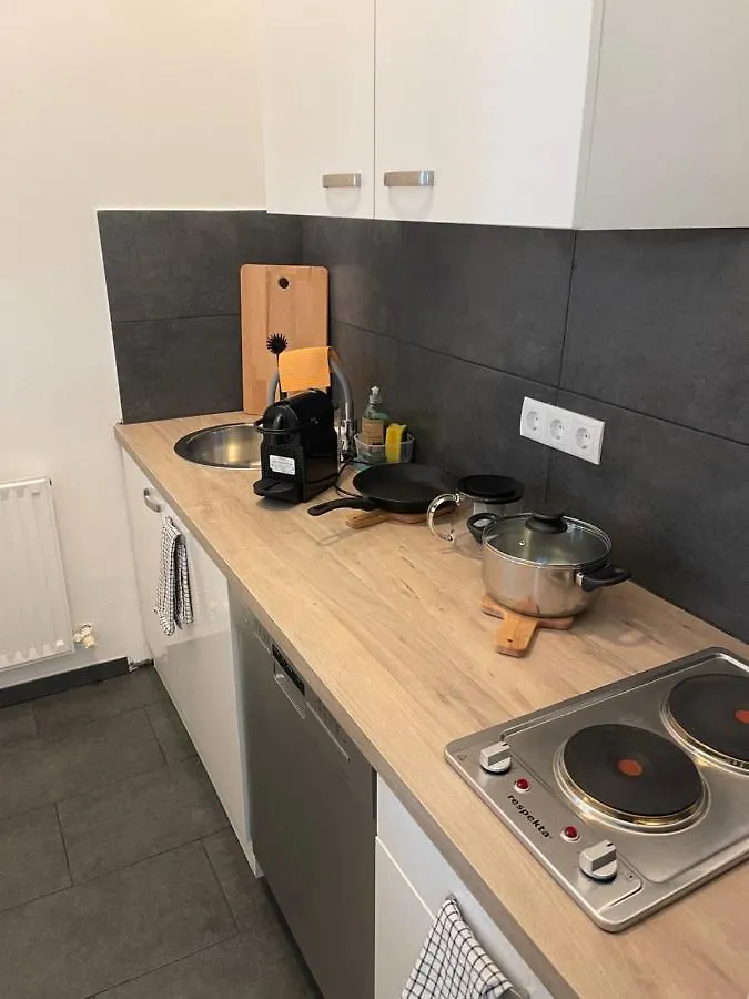 Gesamte Unterkunft im Zentrum von Wien Top 27 0*,